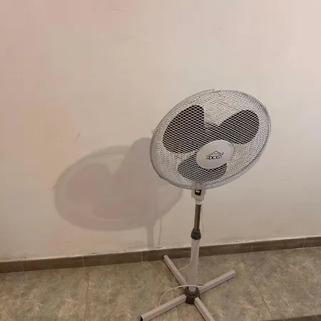 Toto's House